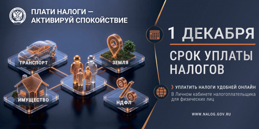 Жители Хабаровского края начали получать уведомления на уплату налогов